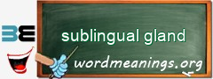 WordMeaning blackboard for sublingual gland